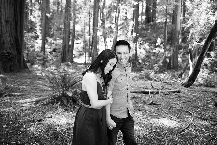 muir woods napa valley san francisco engagement wedding photography